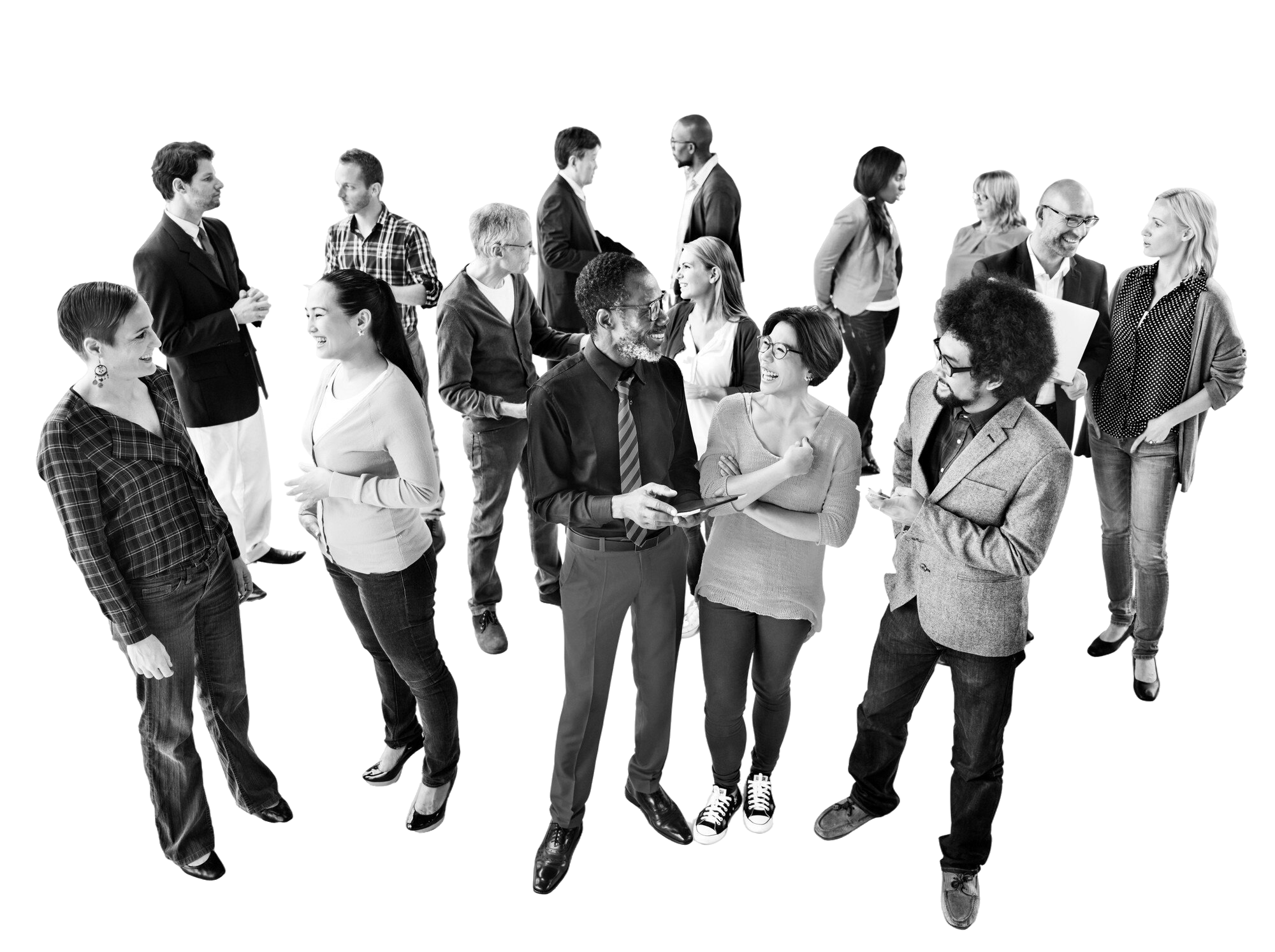 Networking empresarial ADN